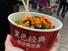 -黑色经典臭豆腐·湖南特产(坡子街店)
