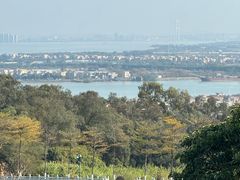 -广州莲花山旅游区