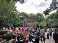 -人民公园-相亲角