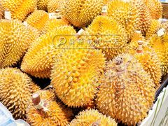 -AEON永旺(东方宝泰店)