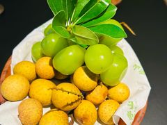 -季季山·云南野生菌火锅(上海首店)