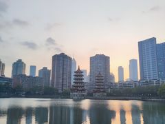 -宝岛公园