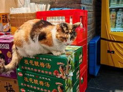 -大风老火锅(江北一店)