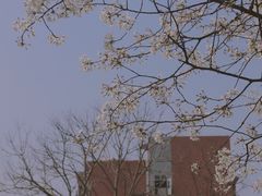 -浙江万里学院(钱湖校区)