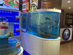 水产区-一品滇香·云南菜(公益西桥店)