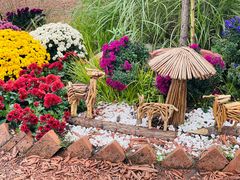 -上海共青森林公园