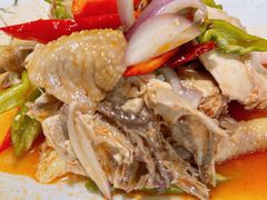 椒麻鸡-马白开来特色羊排揪片子  (总店)