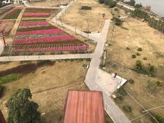 -芒洲湿地公园