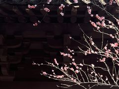-慧因高丽寺