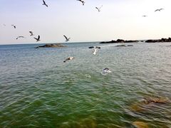 -海合安青岛极地海洋公园