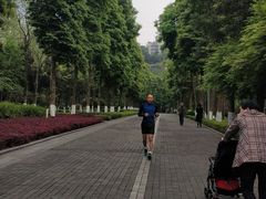 -龙头寺公园