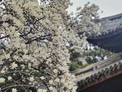 -龙华寺