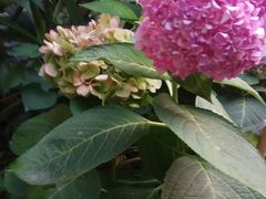 -玉林生活广场