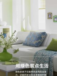 点击看大图 -iSpa