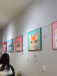 -洗脸猫·洗脸吧