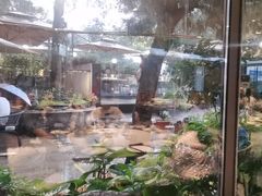 -蘇河湾·新鲁菜·泰山宴(泰山店)