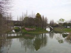 -尚贤河湿地