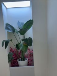 -头道汤头疗养生馆