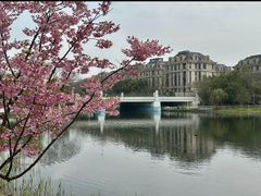 -新江湾城公园