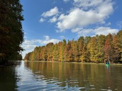 -上海海湾国家森林公园