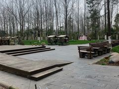 -合肥滨湖国家森林公园