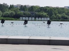 -暨阳湖生态园