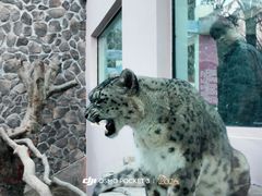 -青藏高原野生动物园