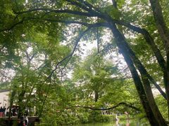 -西溪南古村落景区