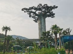 -苏州乐园森林水世界