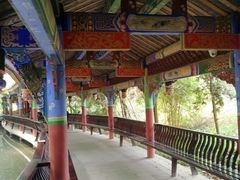 -江湾神木园