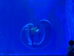 -多彩贵州城极地海洋世界