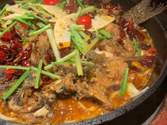 -老板恋上鱼(高新万达店)