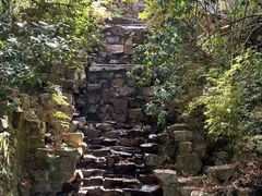 -十八棵（老龙井）御茶园(老龙井店)