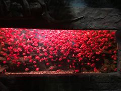 -多彩贵州城极地海洋世界