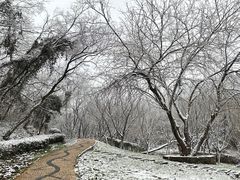 -南京市江宁方山