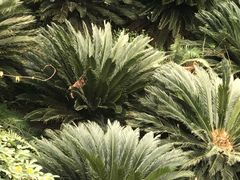 -秦岭终南山世界地质公园翠华山景区