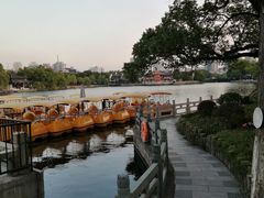 -月湖公园
