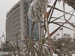 -河南工业大学(莲花街校区)