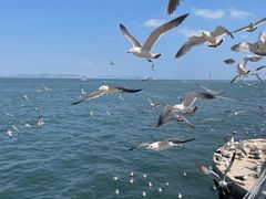 -大连海昌东方水城