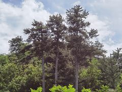 -玉渡山自然风景区