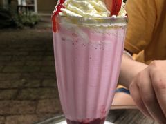 -Fern Forest Cafe