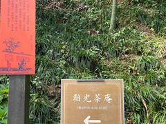 -韬光茶庵