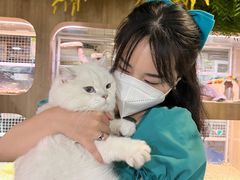 -藦茜花园宠物主题亲子互动体验馆(国顺东路店)