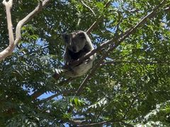 -费瑟代尔野生动物园