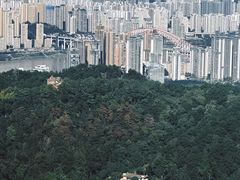 -大金鹰园