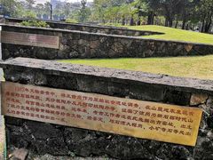 -王借岗森林公园
