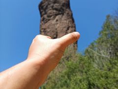-磬锤峰森林公园