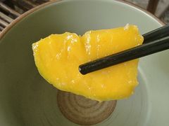 -晓雯人家
