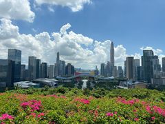 -莲花山公园