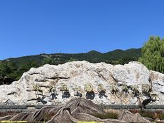 -北京西山国家森林公园